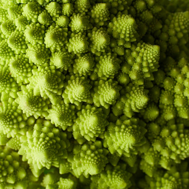 istock Texture of fresh romanesco broccoli cabbage, natural food background. Romanesco cabbage isolated on white. 1576256738