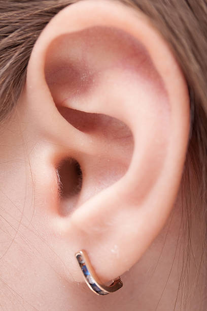 istock picture of the child's ear 157625952
