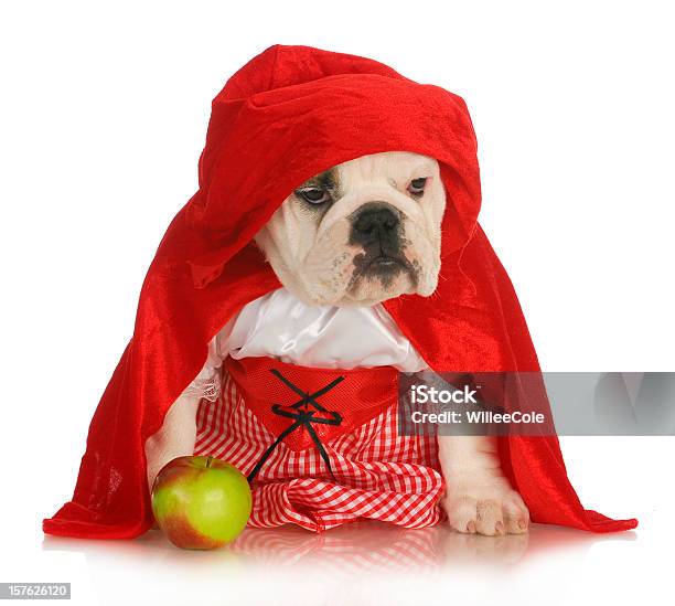 Little Red Riding Hood Stock Photo - Download Image Now - Animal, Apple - Fruit, Bulldog