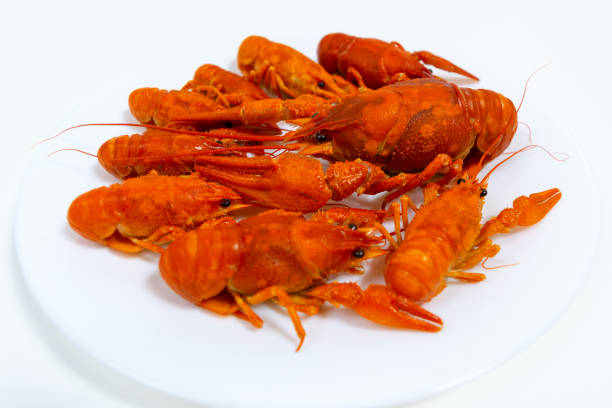istock Group of boiled river red crayfish are laid out on a plate. 1576276555