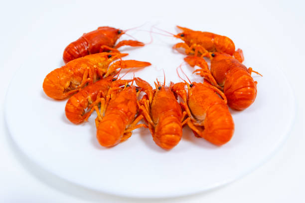 Group of boiled river red crayfish are laid out on a plate. White background. Catching crayfish for human consumption. Delicious food.