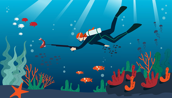 Underwater hunting concept. Woman in diving suit with oxygen tanks explores underwater world. Young girl with spear catches red fish in ocean or sea. Cartoon flat vector illustration