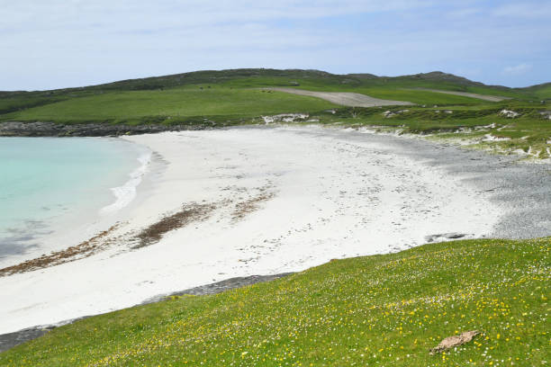 istock Beach and dunes on the isle of Vatersay, Outer Hebrides, Scotland 1576334106