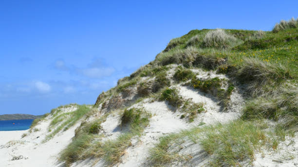 istock Beach and dunes on the isle of Vatersay, Outer Hebrides, Scotland 1576334123