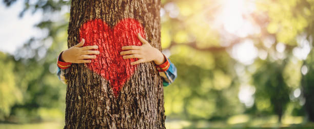 istock Child hugging an old tree in the natural park. 1576352279