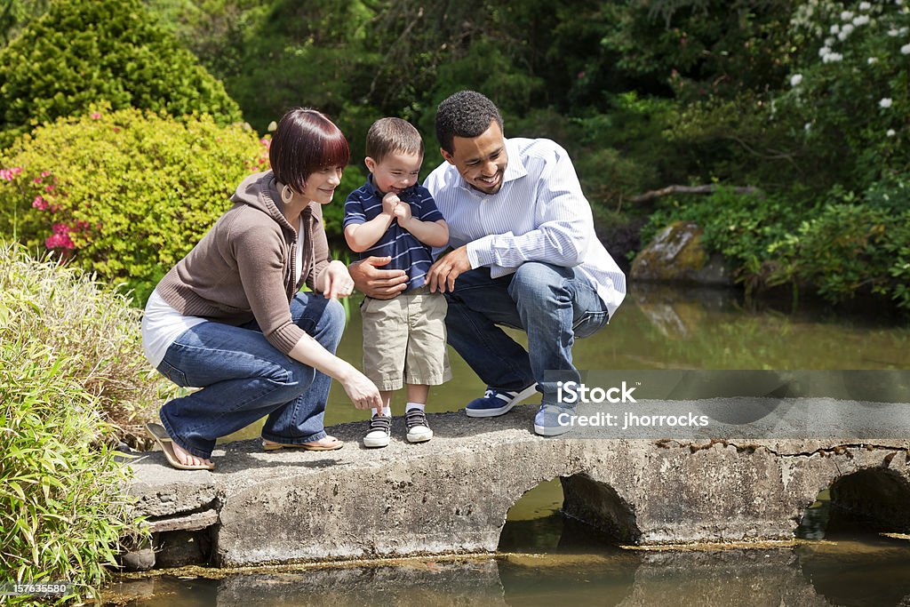 Семья Смотреть Coy Рыба на парк - Стоковые фото Многонациональная группа роялти-фри