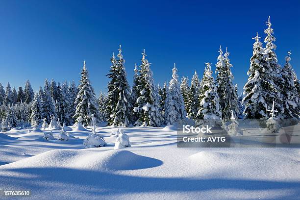 Wild Winter Landscape With Spruce Tree Forest Covered By Snow Stock Photo - Download Image Now