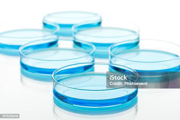 Equipamento De Laboratório - Fotografias de stock e mais imagens de Disco de Petri - Disco de Petri, Azul, Biologia
