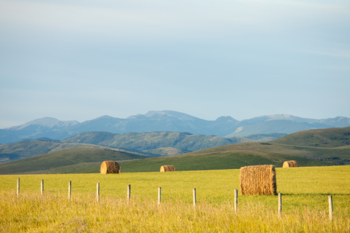 a rural scenic with hay bales and rockies in alberta, Canada. Image location is near Calgary, Alberta. The western province of Alberta is known for its natural beauty. The eastern part of the province is relatively flat and agriculture is a major industry. In the west the rolling ranchland and Rocky Mountains provide the landscapes the province is famous for. 