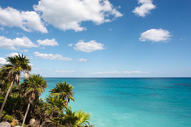 istock Mexico. Idyllic Waters of Yucatan. 157636046