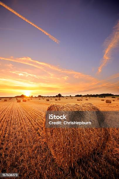 Heno Bale Atardecer Foto de stock y más banco de imágenes de Bala - Cultivado - Bala - Cultivado, Campo - Tierra cultivada, Agricultura