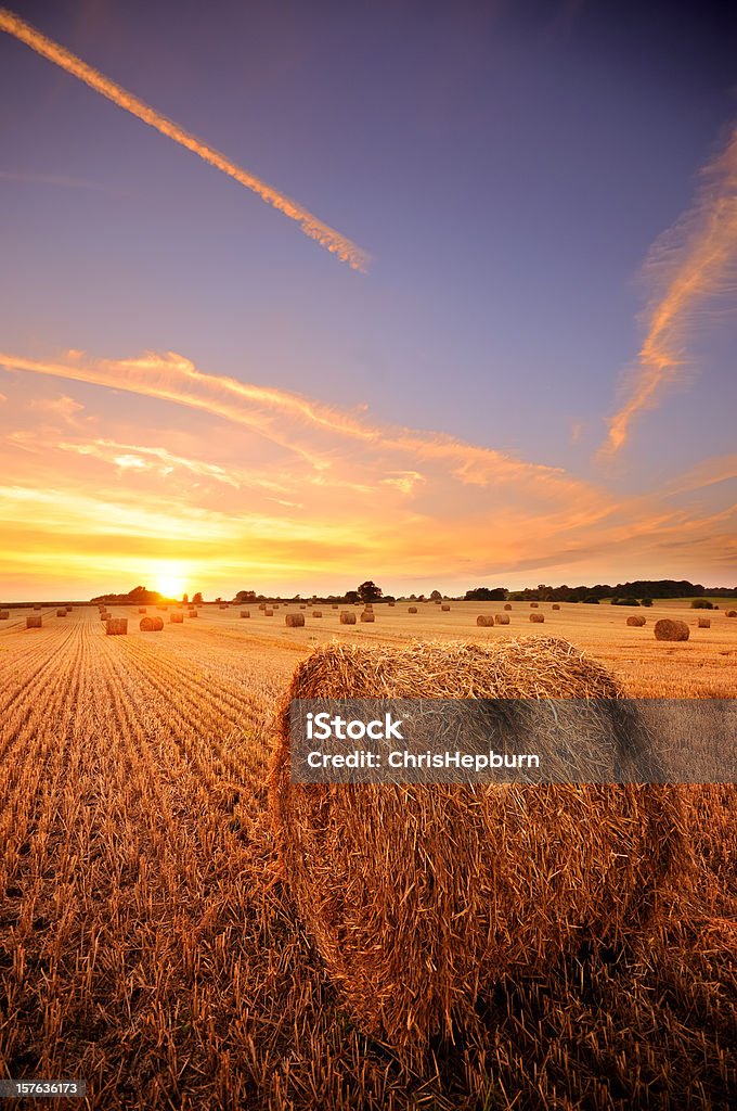 Hay Bale pôr do sol - Royalty-free Fardo Foto de stock