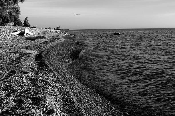 Machovo jezero lake with Bezdez castle on background and sand beach in foreground  in Machuv kraj tourist area in czech republic with black and white stylization