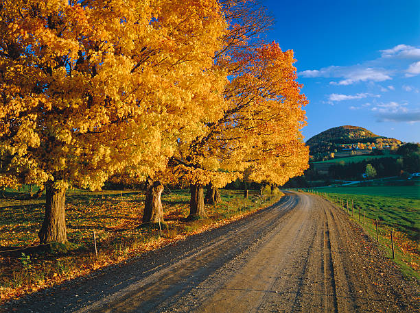 automne dans le vermont - appalachian trail dirt road footpath appalachian mountains photos et images de collection