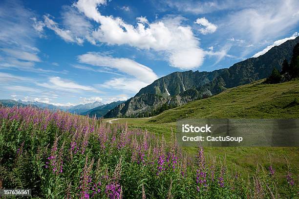 Paisagem Alpina - Fotografias de stock e mais imagens de Alpes Europeus - Alpes Europeus, Ao Ar Livre, Azul