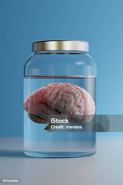 Brain In A Jar Stock Photo - Download Image Now - Jar, Brain, Laboratory