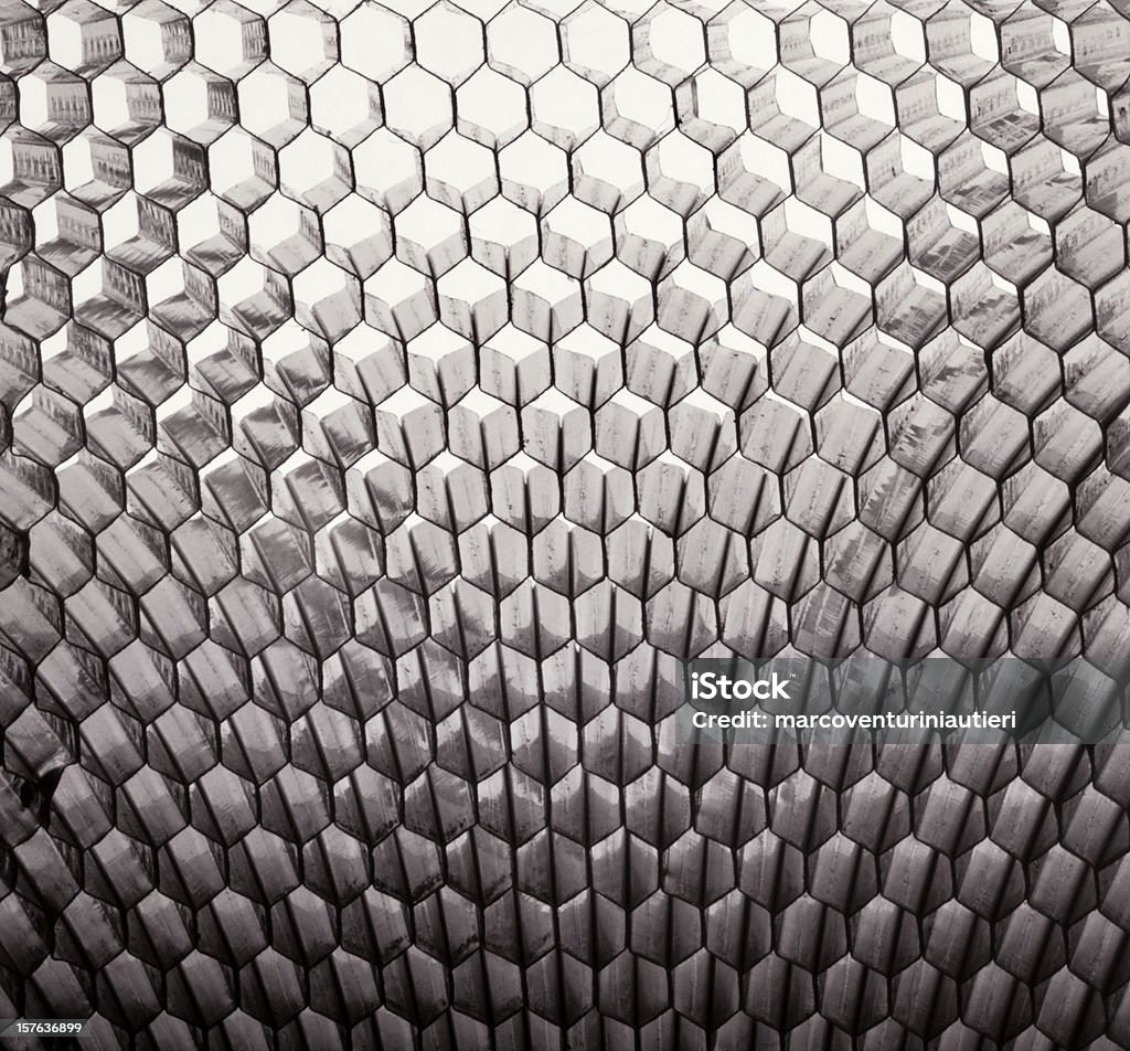 Вставка с узором в виде пчелиных сот, придающим текстуру с свет Абстрактный - Стоковые фото Чёрно-белый роялти-фри