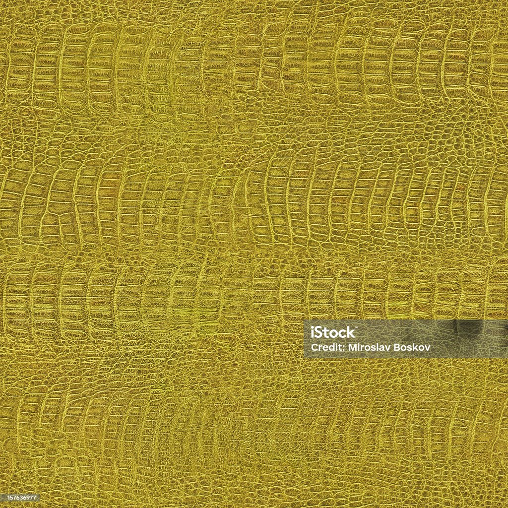 Seamless Hi-Res Crocodile (Alligator) Skin Yellow Texture Tile This High Resolution Old Crocodile Greenish-yellow Leather Seamless Grunge Texture Tile, is defined with exceptional details and richness, thus representing the excellent choice for implementation within various 2-D and 3-D CG Projects.  Abstract Stock Photo