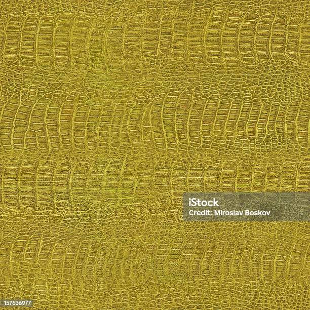 Seamless Hires Crocodile Skin Yellow Texture Tile Stock Photo - Download Image Now