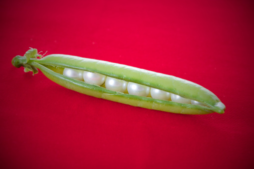 Pod whit pearls on red velvet with shallow depth of field.