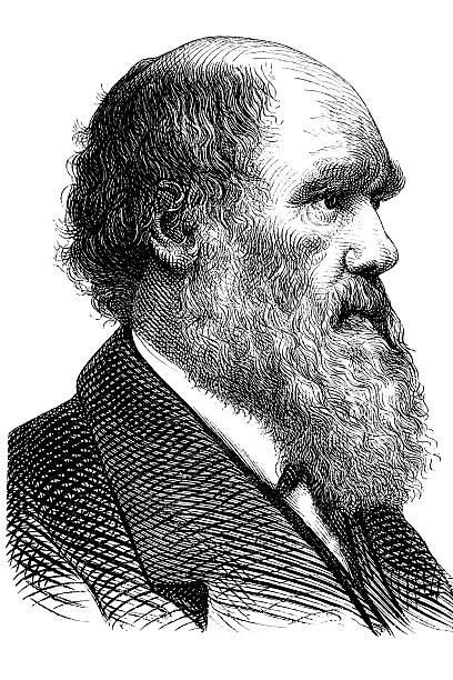 gravieren der wissenschaftler charles darwin aus dem jahre 1870 - charles darwin engraved image old fashioned etching stock-grafiken, -clipart, -cartoons und -symbole