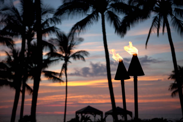 istock Tiki Torch Flames At Sunset 157637298