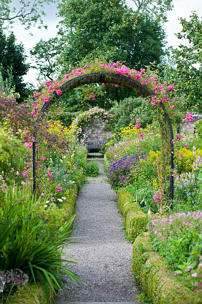 istock Path leading through the secret garden 157637398