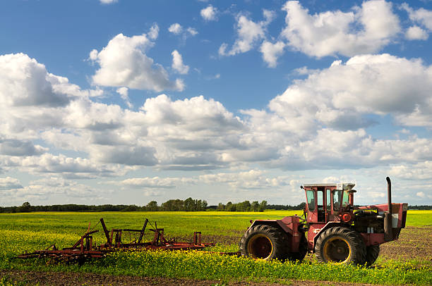 istock Tractor in a canola field 157637424
