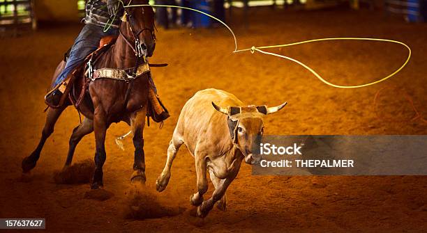 Rodeo Team Roping - Fotografie stock e altre immagini di Rodeo - Rodeo, Lazo, Toro - Bovino