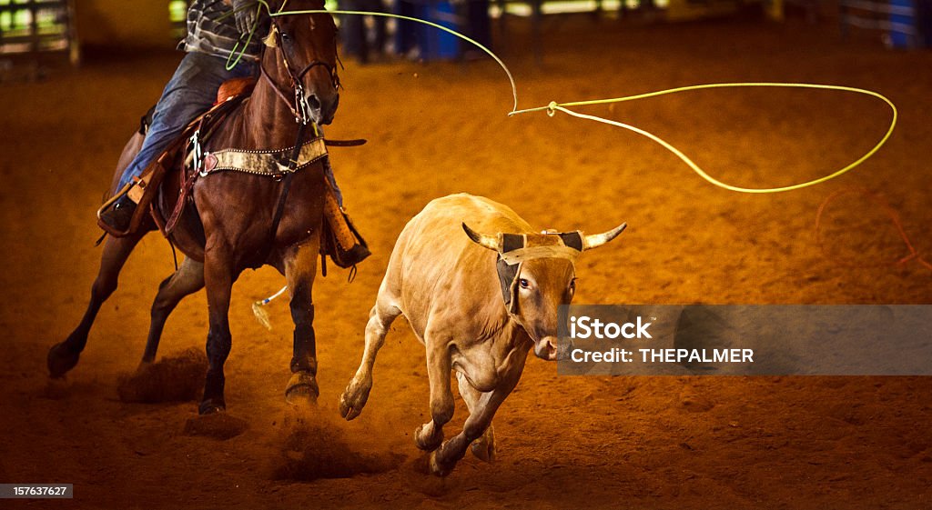 Rodeo Team roping rodeo roping, steer about to be rope - vignette added for mood. Rodeo Stock Photo