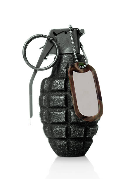 istock Hand grenade and military dog tag 157637941