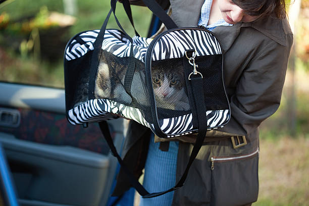 Woman with pet carrier  transportation cage stock pictures, royalty-free photos & images