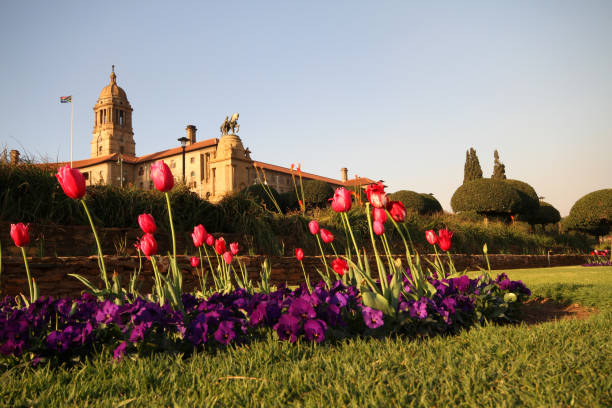 Enormous Union building secluded in field with tulips union building and monument in Pretoria, South Africa - picture taken with late afternoon sun with tulips in the front pretoria stock pictures, royalty-free photos & images