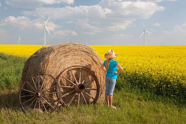 turbina a vento - manitoba canada prairie canola foto e immagini stock