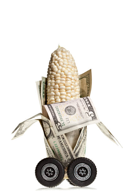 alimentos millas de maíz - white corn fotografías e imágenes de stock