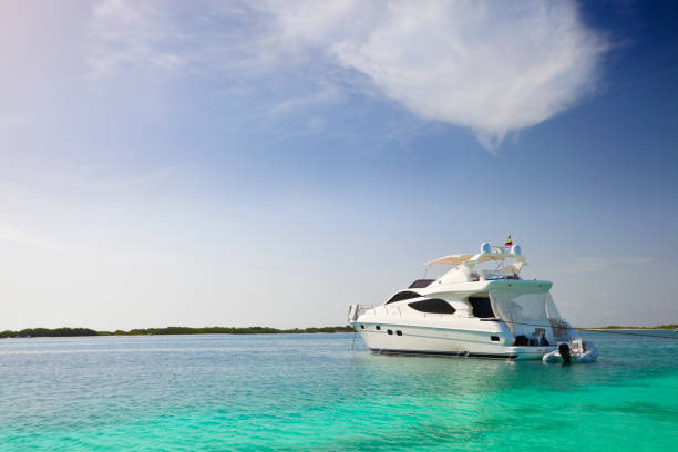 istock Luxury Yachts anchored in a tropical exotic island beach 157638679