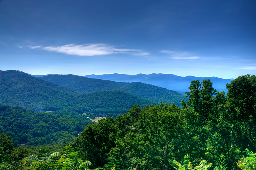 carpathian countryside scenery in spring. mountainous rural landscape of ukraine with grassy field between forested hill beneath a blue sky with fluffy clouds in morning light