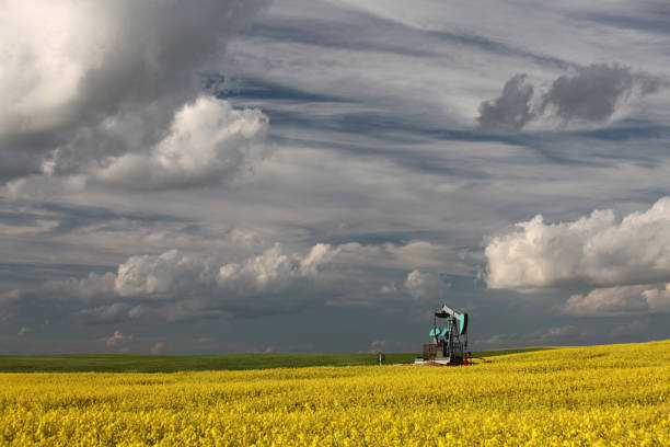 istock Oil Industry in Alberta with Pumpjack 157638857