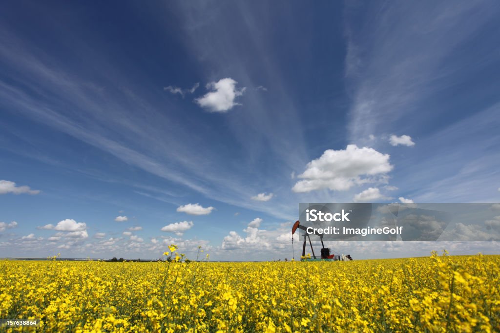 Olej Pumpjack w Alberta z branży - Zbiór zdjęć royalty-free (Alberta)