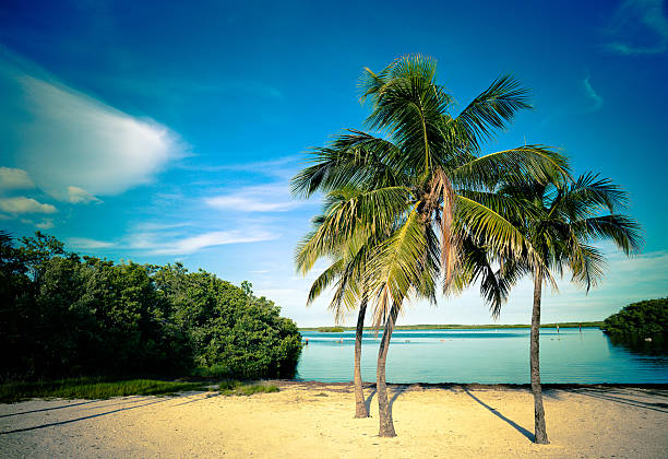 lagoon beach in the florida keys lagoon beach in John Pennekamp State Park located in Key Largo, Florida Keys- vintage postcard look. key largo stock pictures, royalty-free photos & images