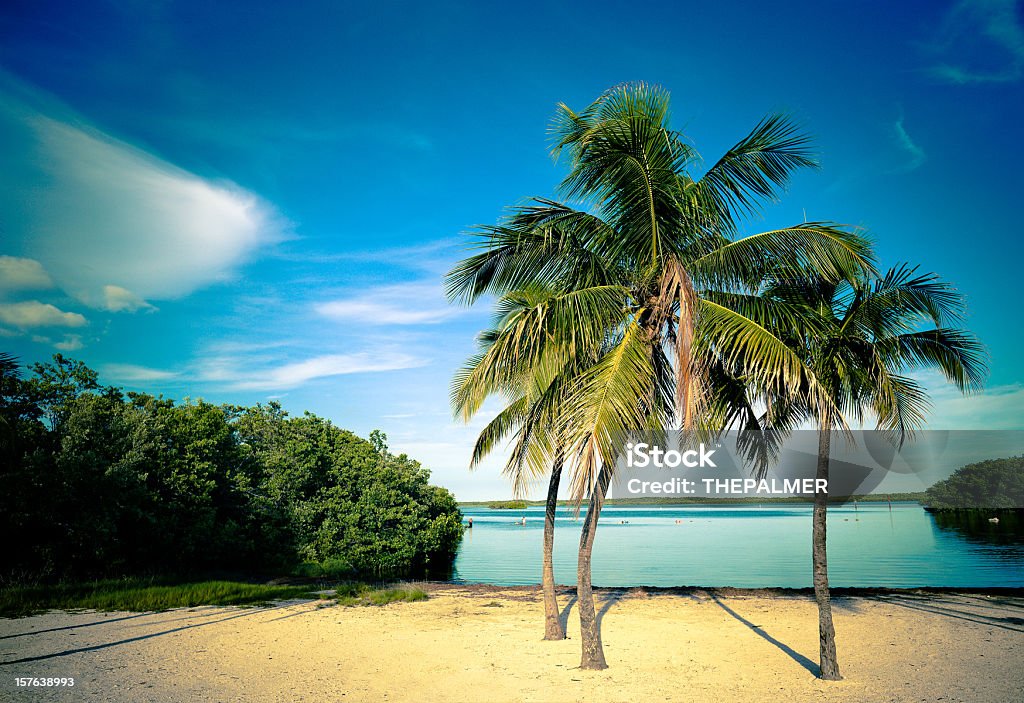 Lagoa e Praia em florida keys - Royalty-free Key Largo Foto de stock