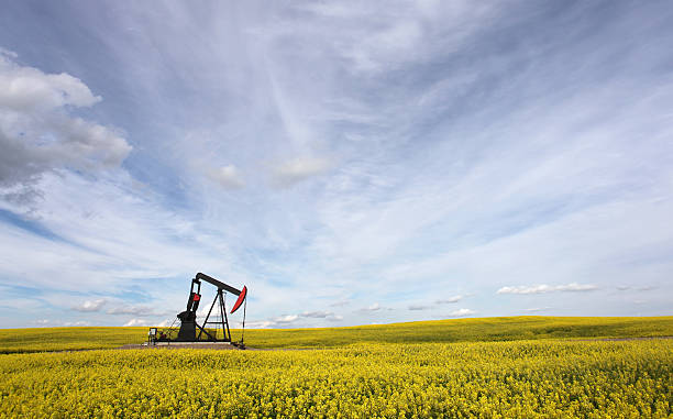 istock Oil Industry in Alberta with Pumpjack 157639147