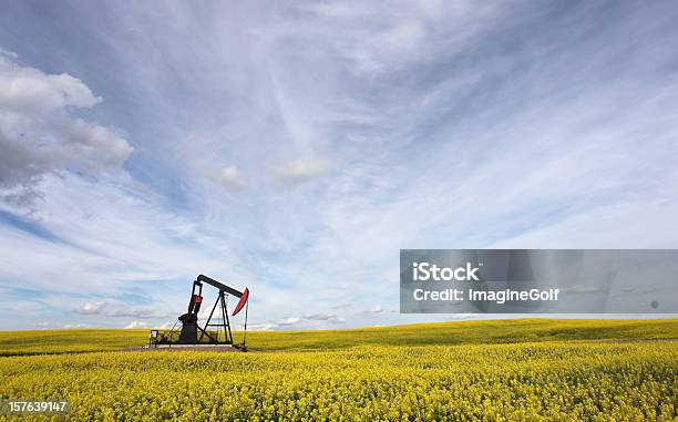 Olej Pumpjack W Alberta Z Branży - zdjęcia stockowe i więcej obrazów Pompa olejowa - Pompa olejowa, Canola, Czerwony