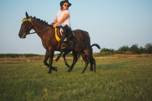 istock Enjoying horse riding 1576391665