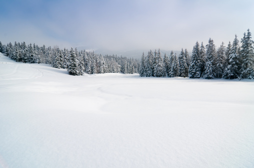 View over a frozen lake surrounded by trees. A winter scene.