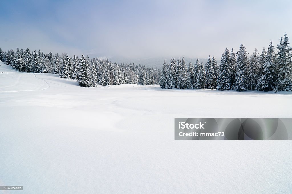 Phong Cảnh Mùa Đông Với Tuyết Và Cây Cối Hình ảnh Sẵn có - Tải xuống Hình  ảnh Ngay bây giờ - Tuyết, Mùa đông, Phong cảnh - iStock