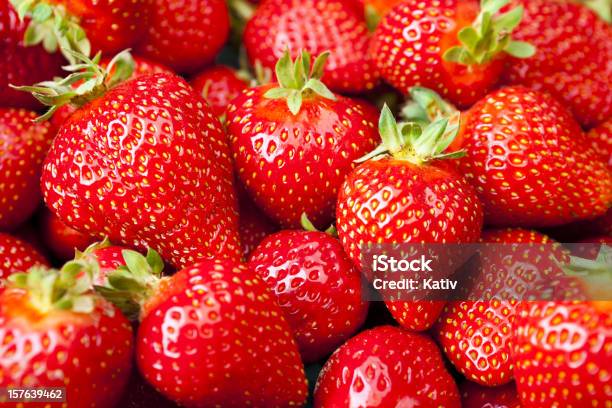 Foto de Morangos Frescos e mais fotos de stock de Morango - Morango, Macrofotografia, Mercado de Produtos da Fazenda