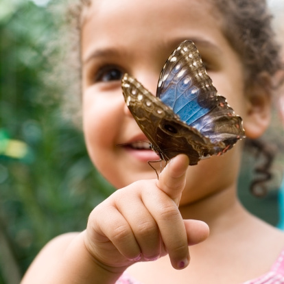 Child, aged 4 years old, is holding a  Butterfly Speckled Wood ( Pararge aegeria ) in a butterfly house.