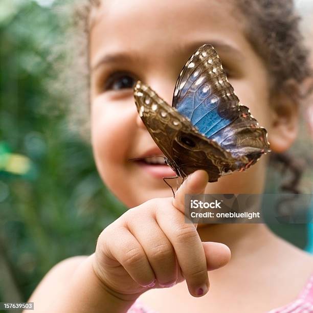 Ребенок Держит Бабочка Пятнистая Дерево Pararge Aegeria — стоковые фотографии и другие картинки Бабочка