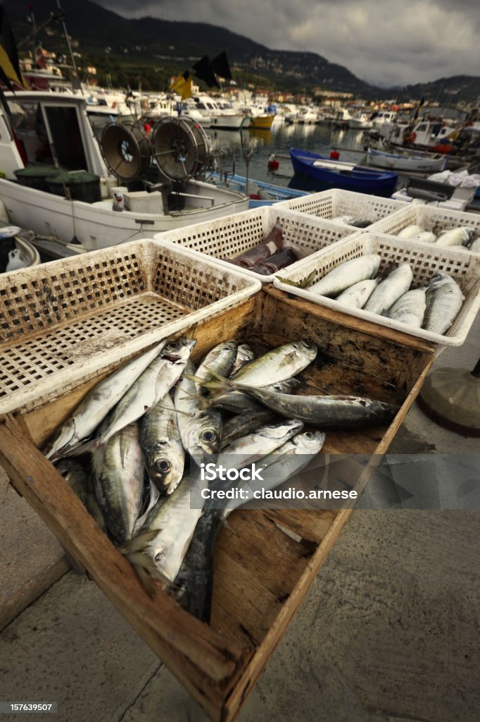 Mercado de peixes. Imagem a cores - Foto de stock de Animais caçando royalty-free